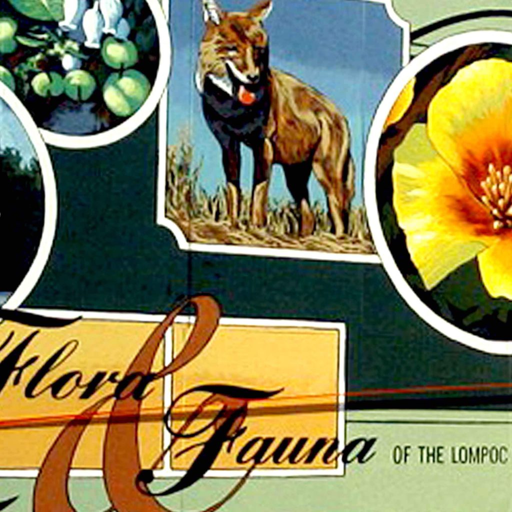 Flora and Fauna of the Lompoc Valley